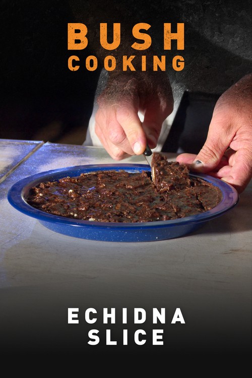 Echidna Slice