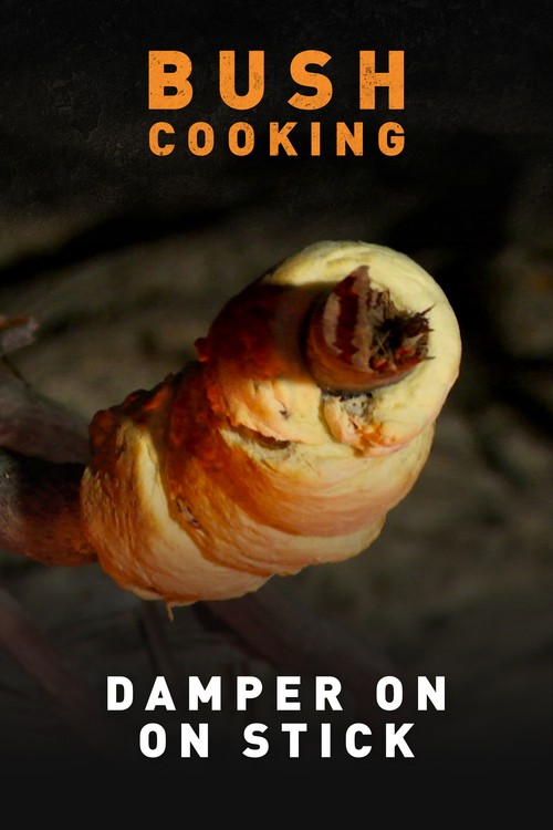 Damper On A Stick