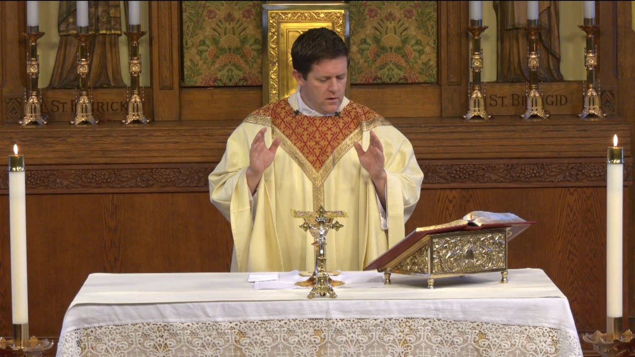 Tuesday Mass | 27th Week | Ordinary Time