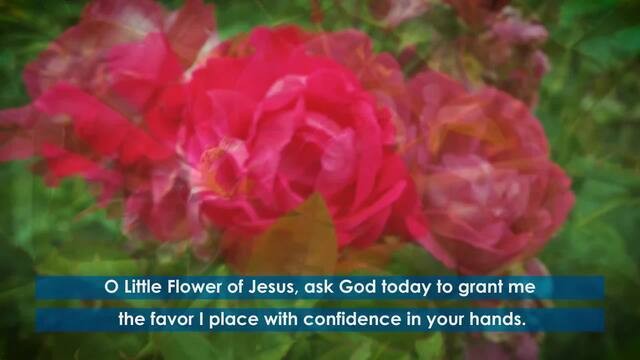 Saint Therese Rose Prayer