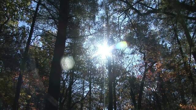 Sorrowful Mysteries | Blue Hills