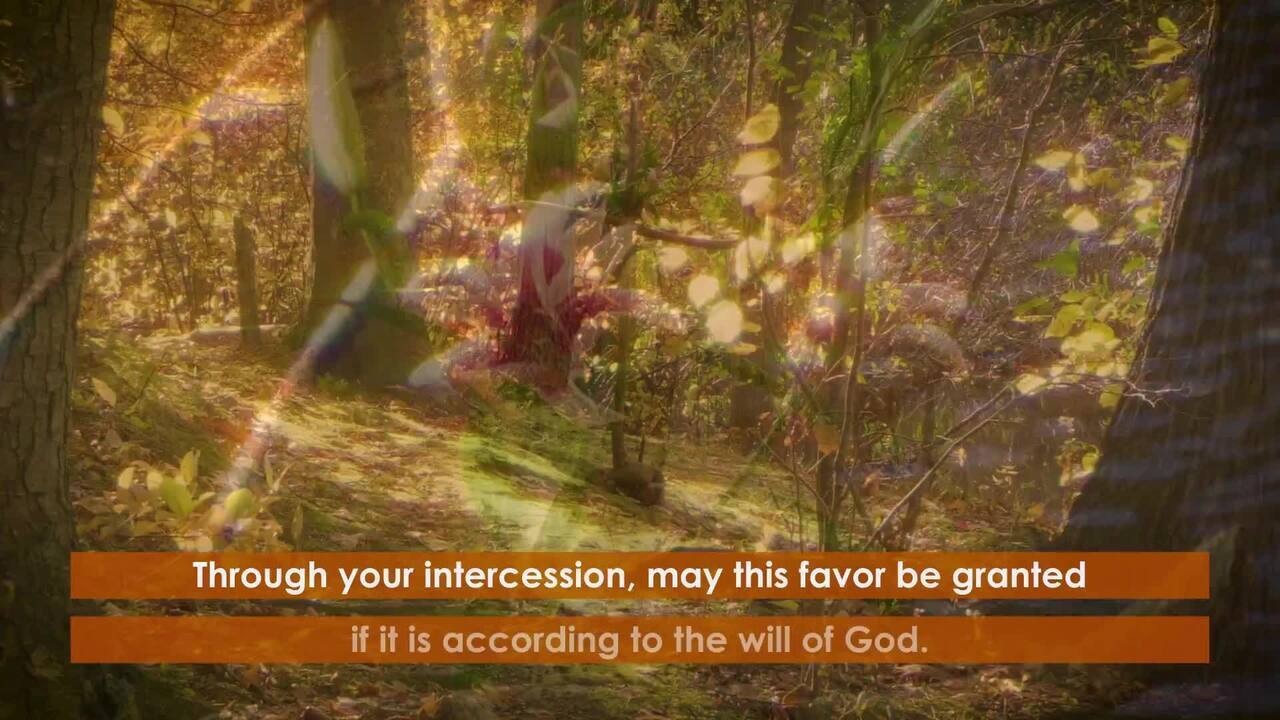Prayer for Saint Kateri Tekakwitha