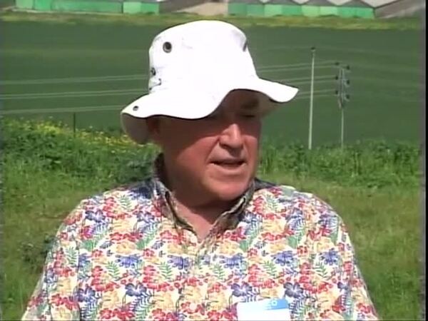 The Land of Beth Shemesh