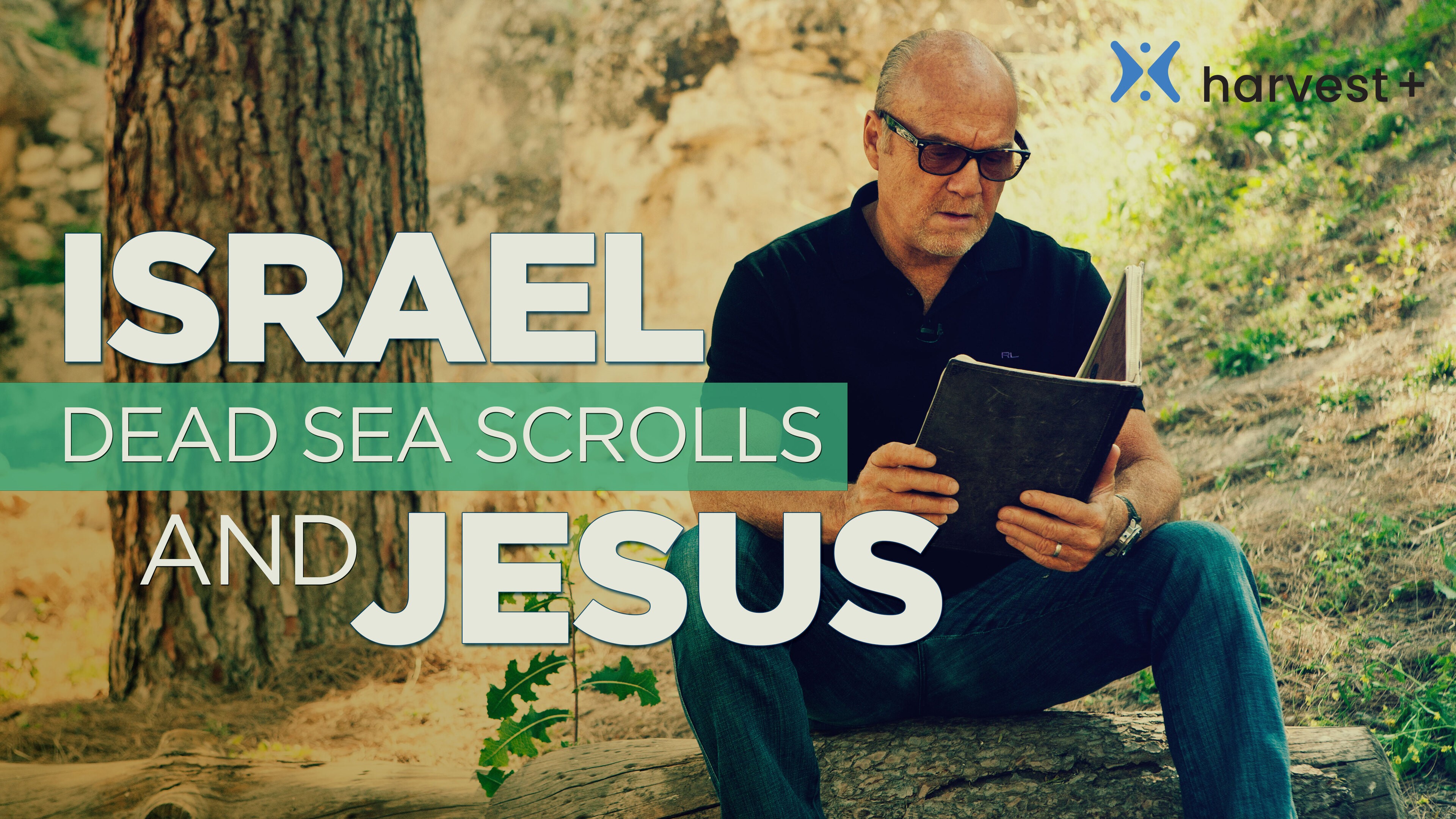 Israel, the Dead Sea Scrolls, and Jesus