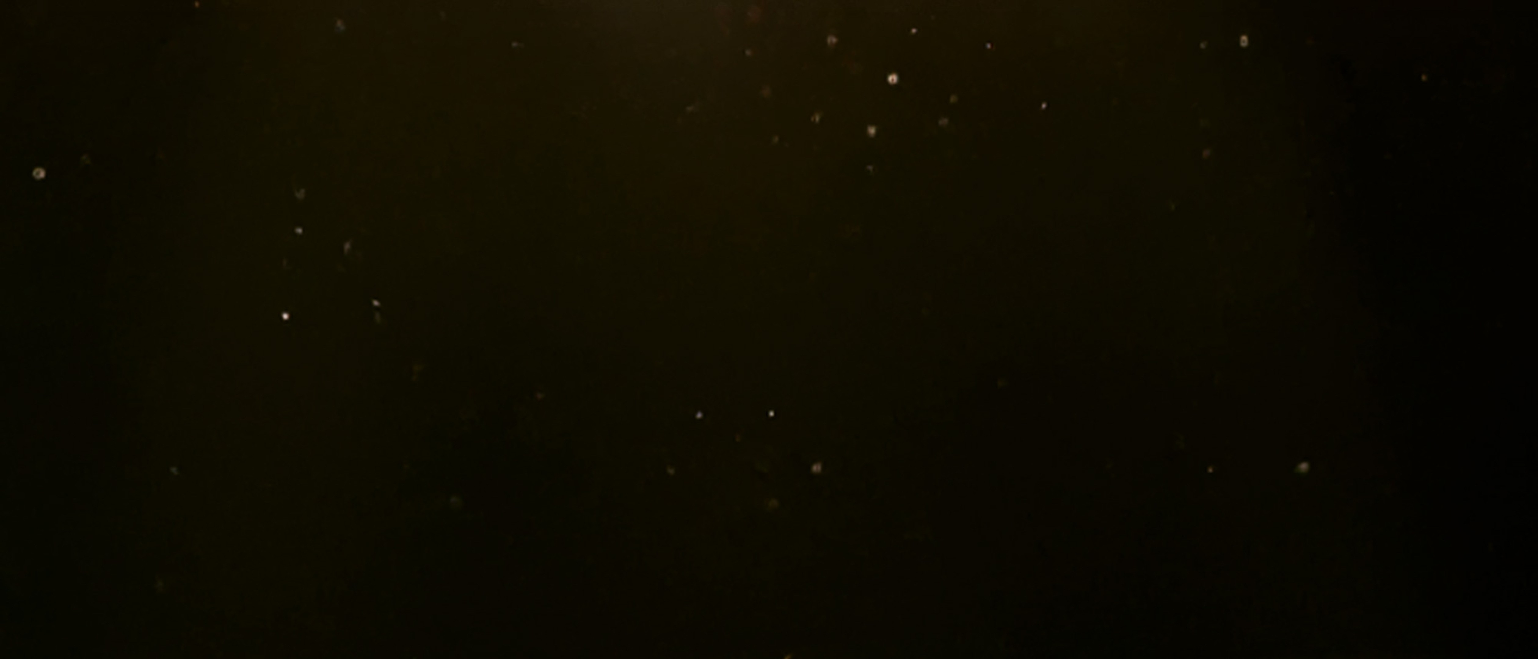 Overcoming Fear | Episode 1: Beyond House of David