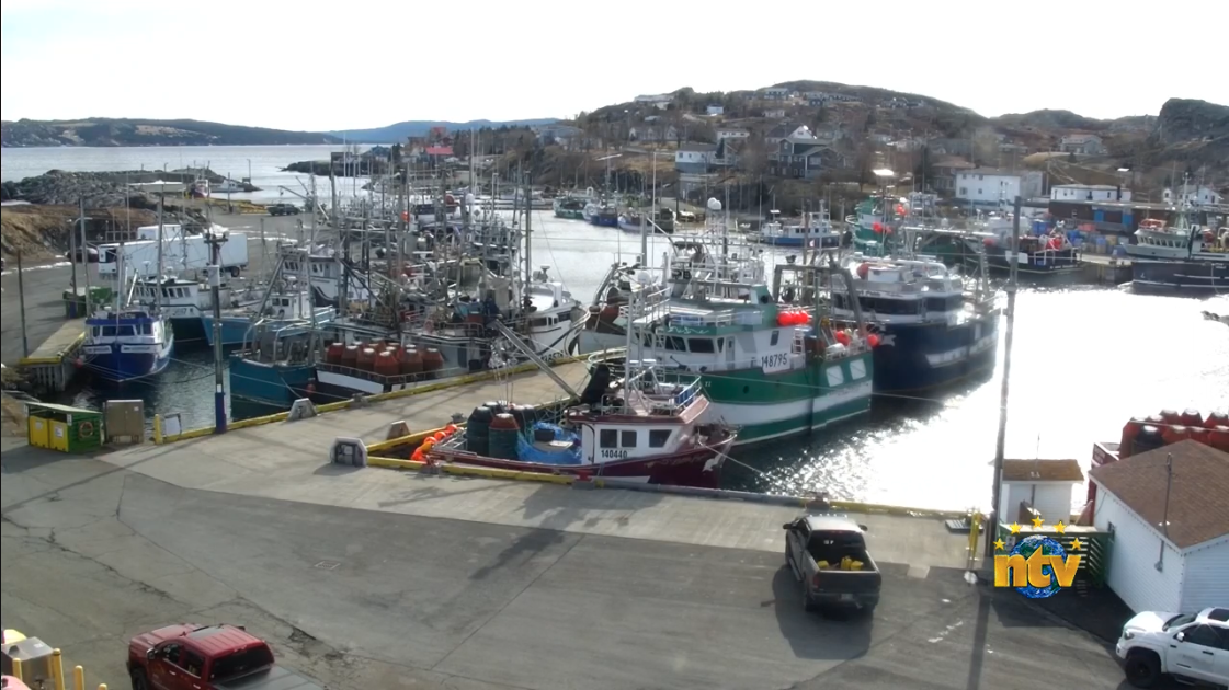 Port de Grave