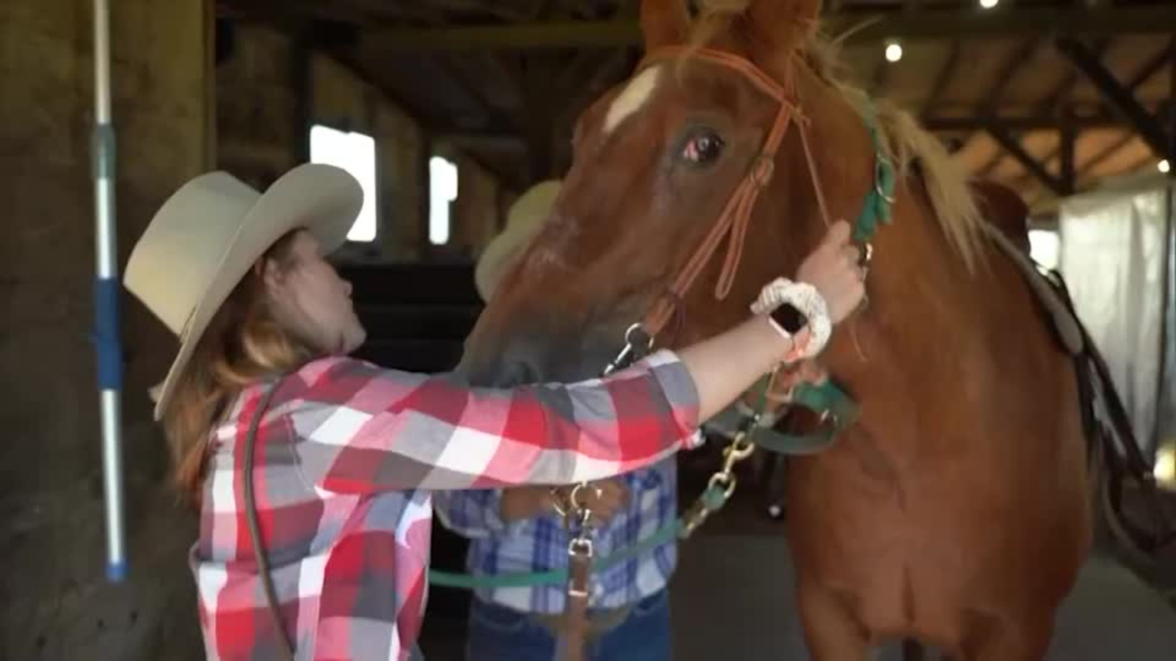 204 Horseback in Burin