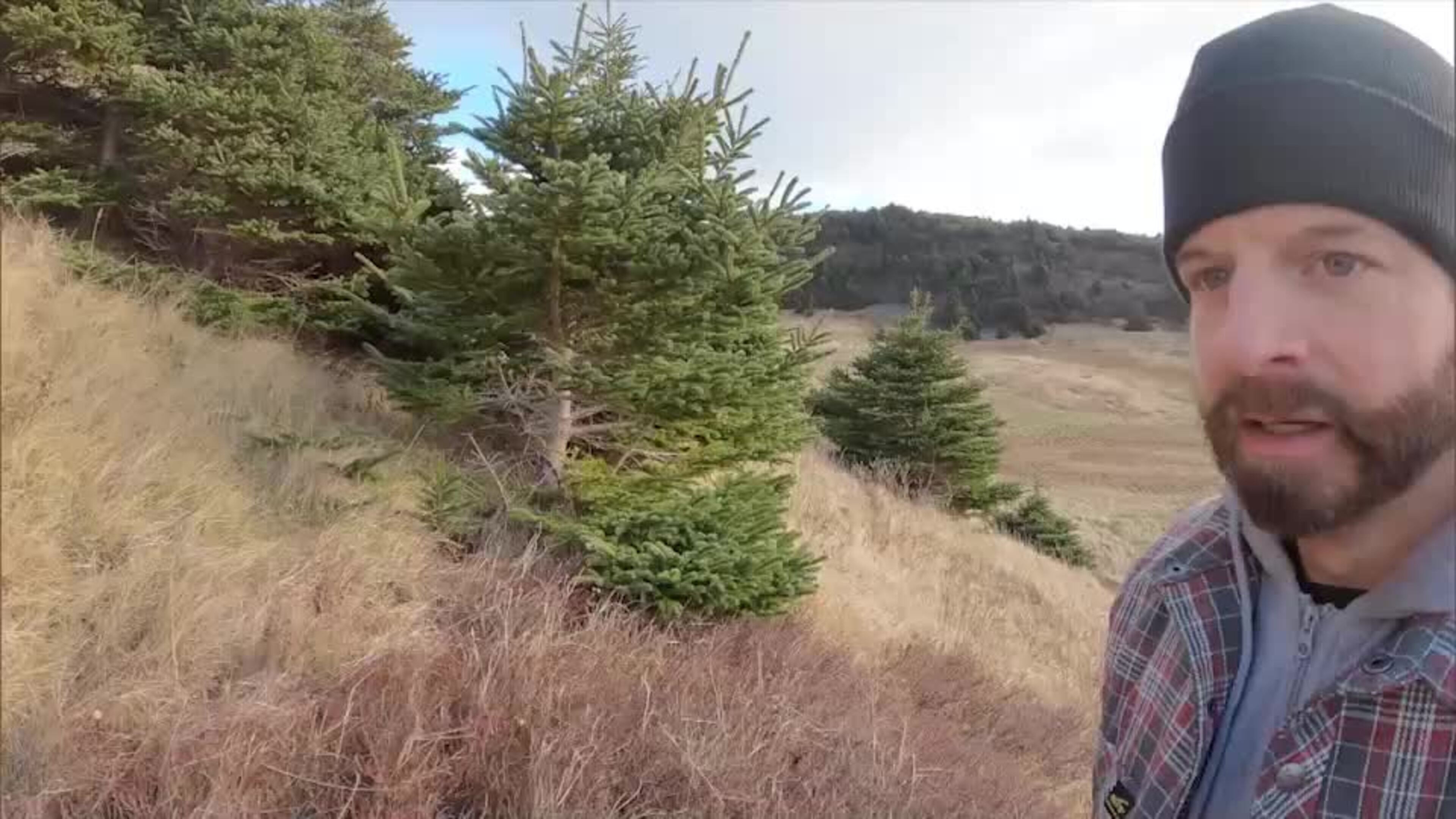 207 Great Burin Island