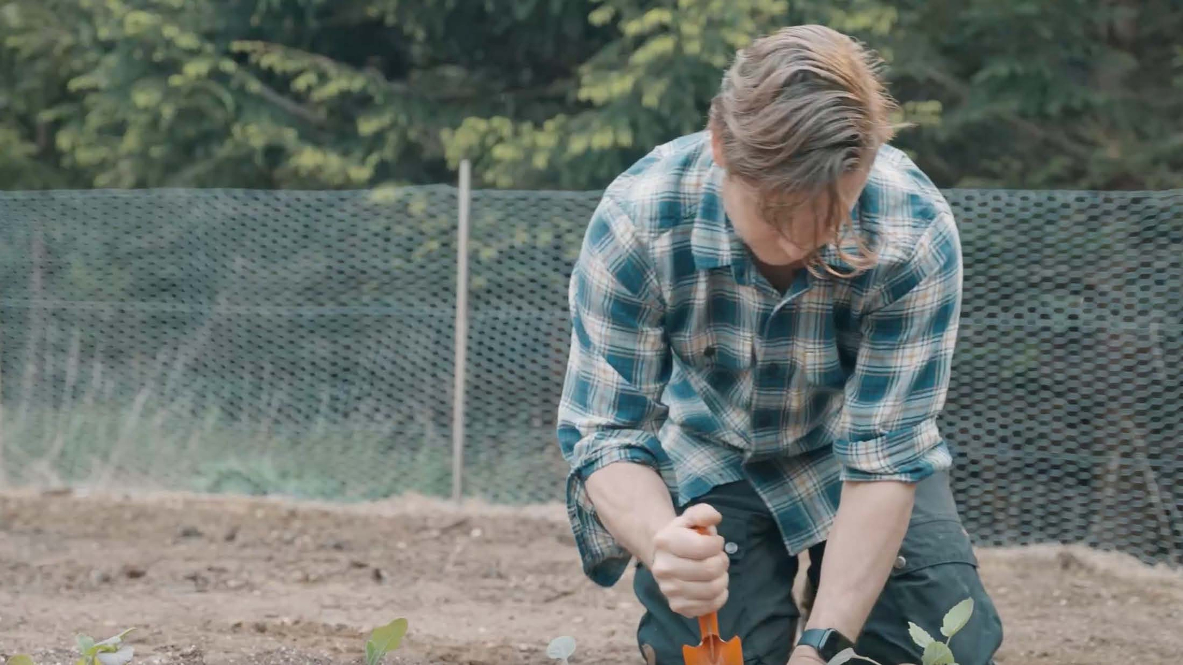 111 Planting a Seed