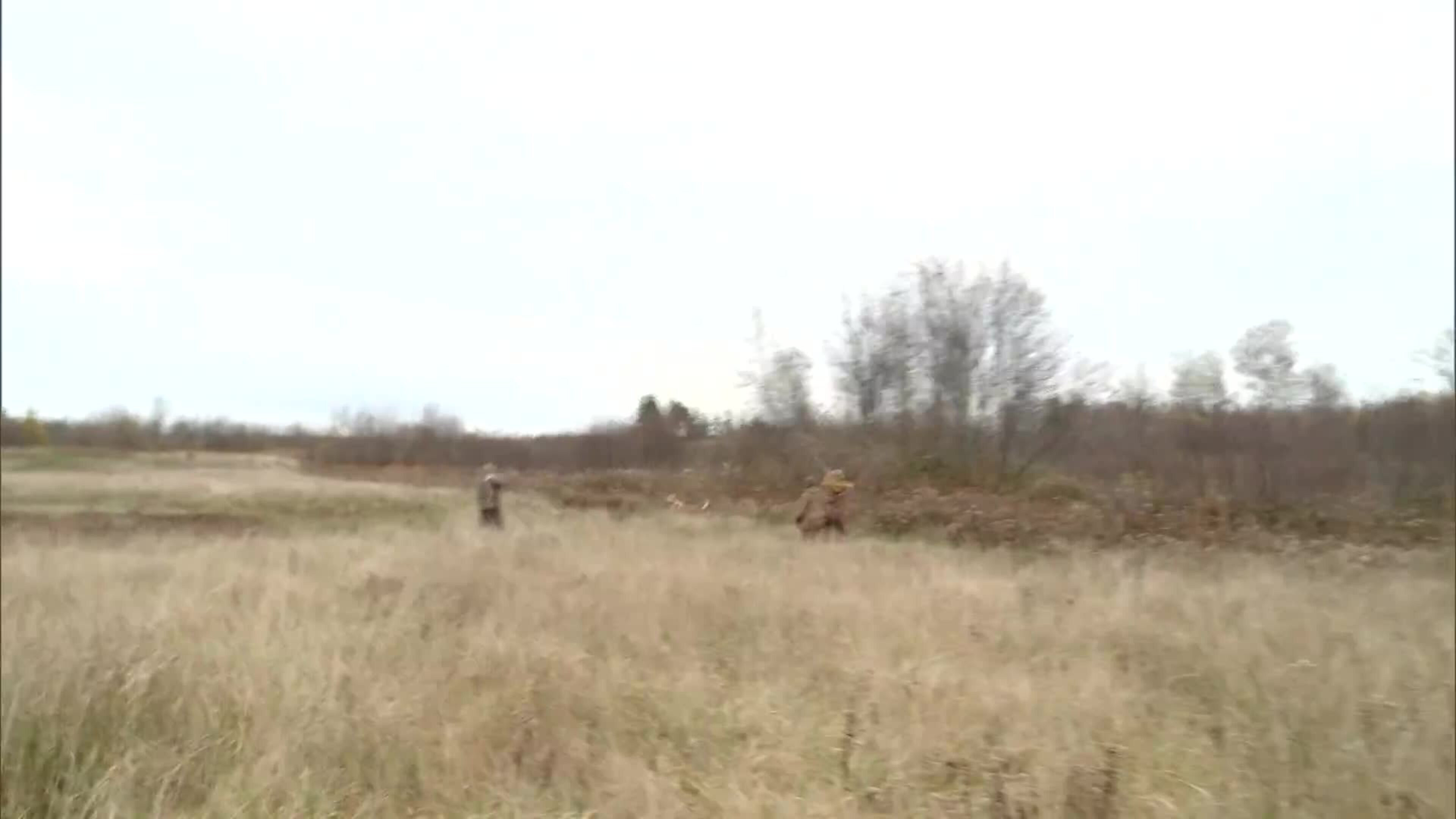 15-09 Flushing Pheasants