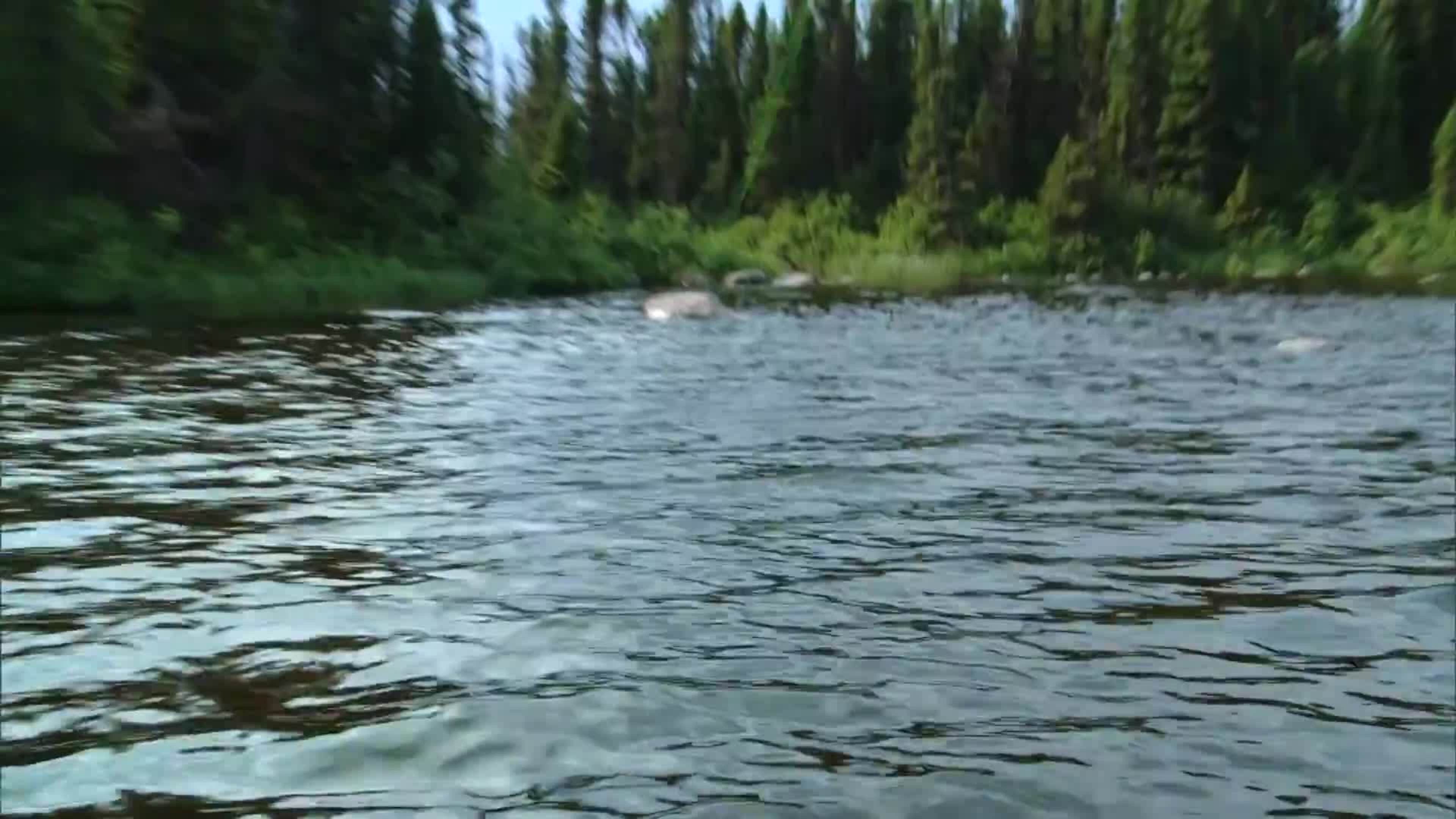 15-02 Biggest Trout Pt.2
