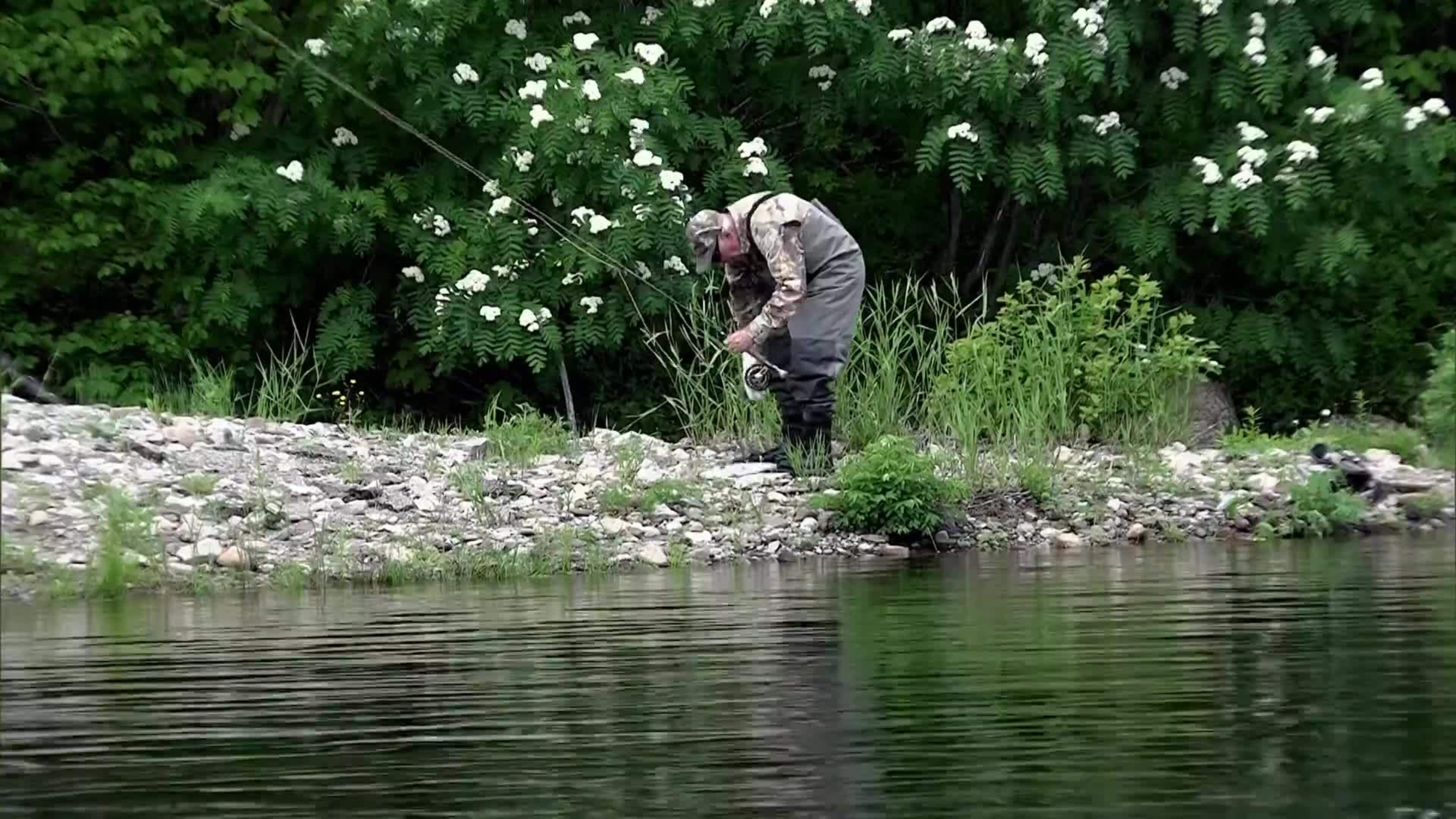 17-08 West Coast Salmon Fishing