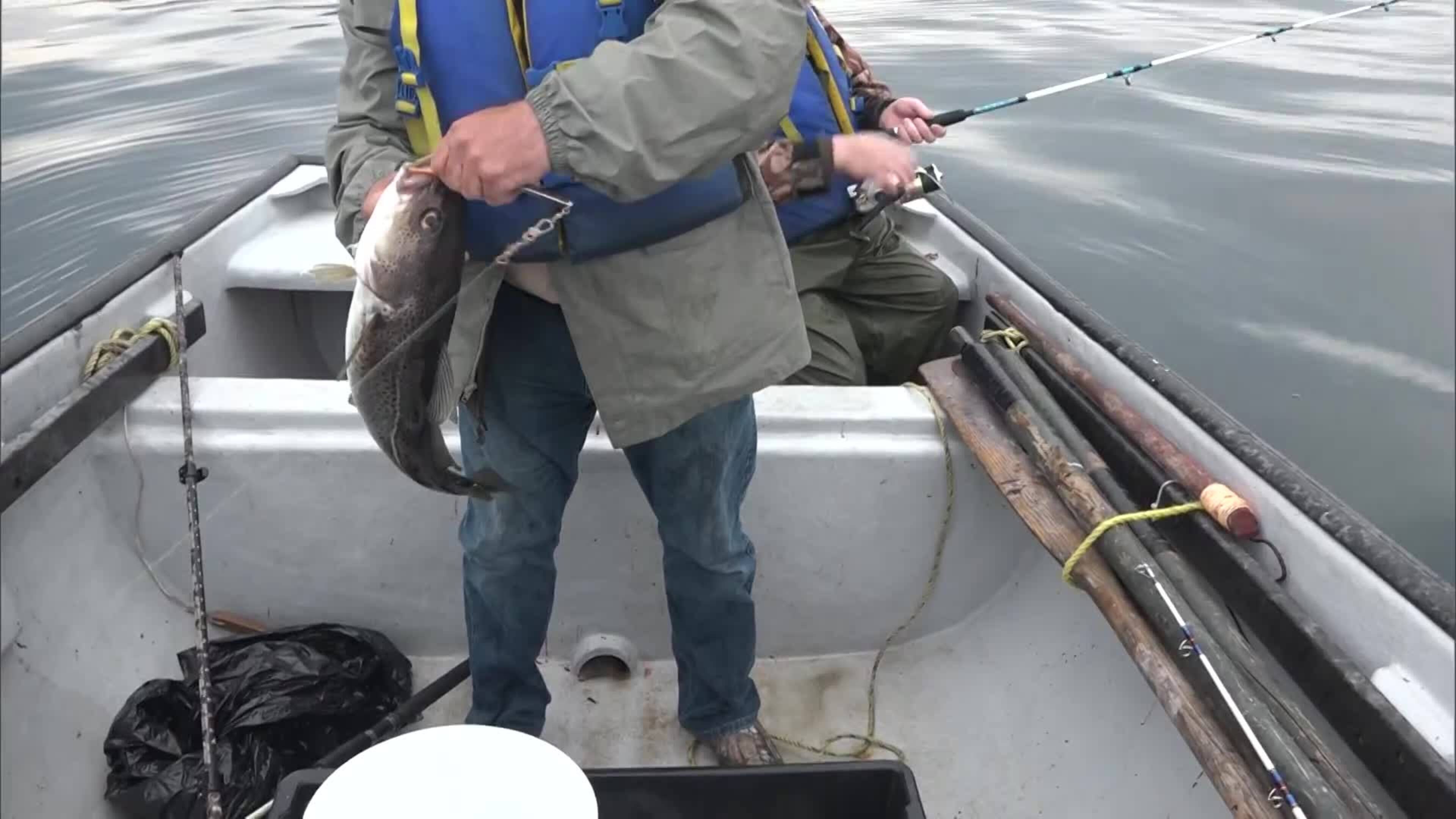 17-07 Perfect Day for Cod Fishing