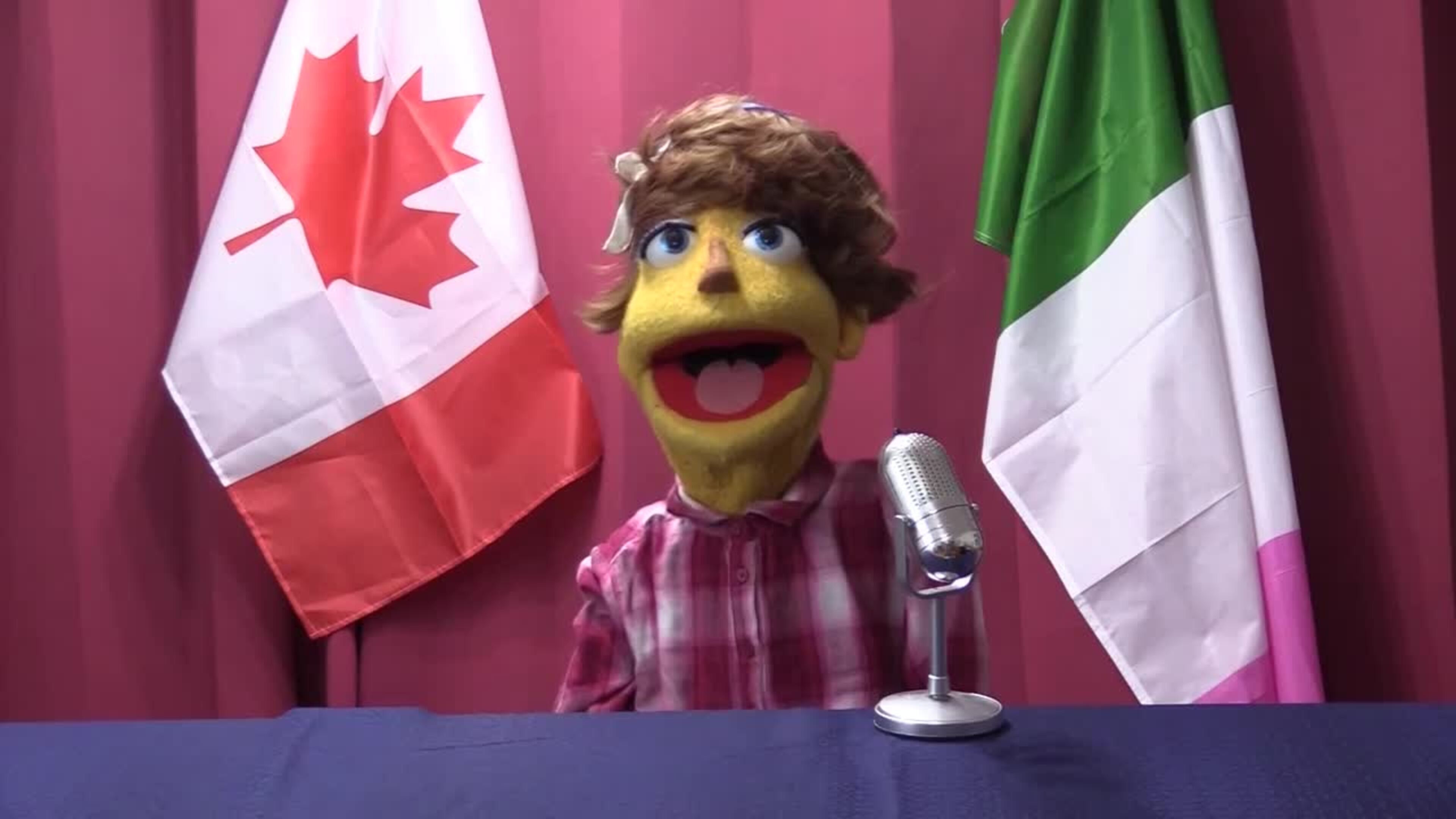 NL Now 505