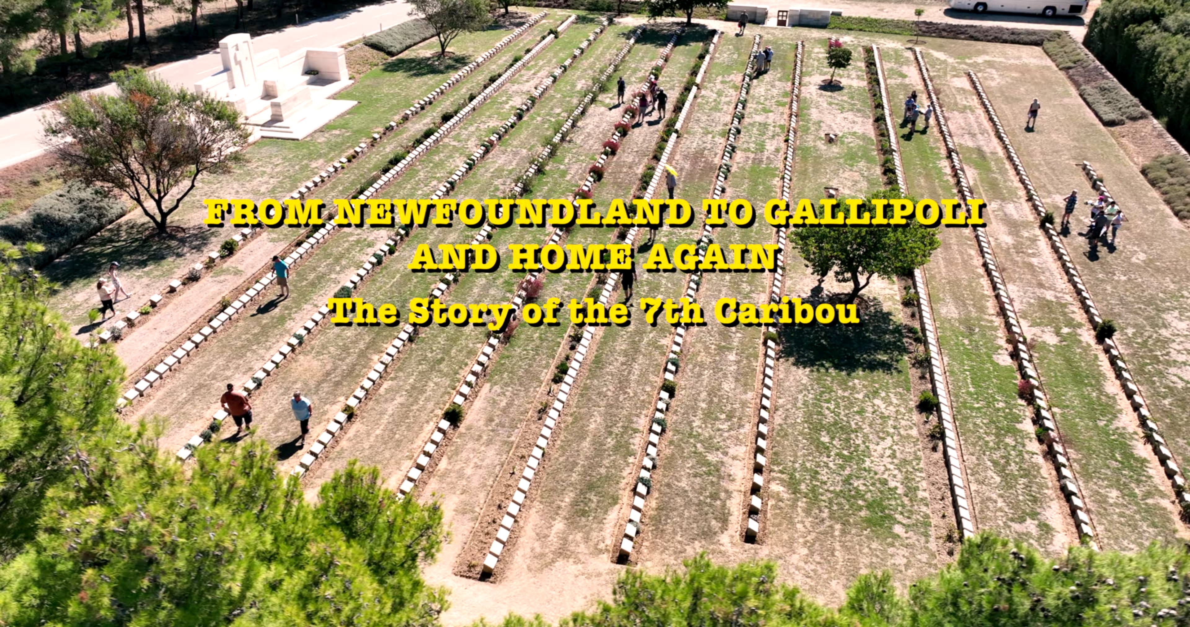 From Newfoundland to Gallipoli and Back Again Pt.1