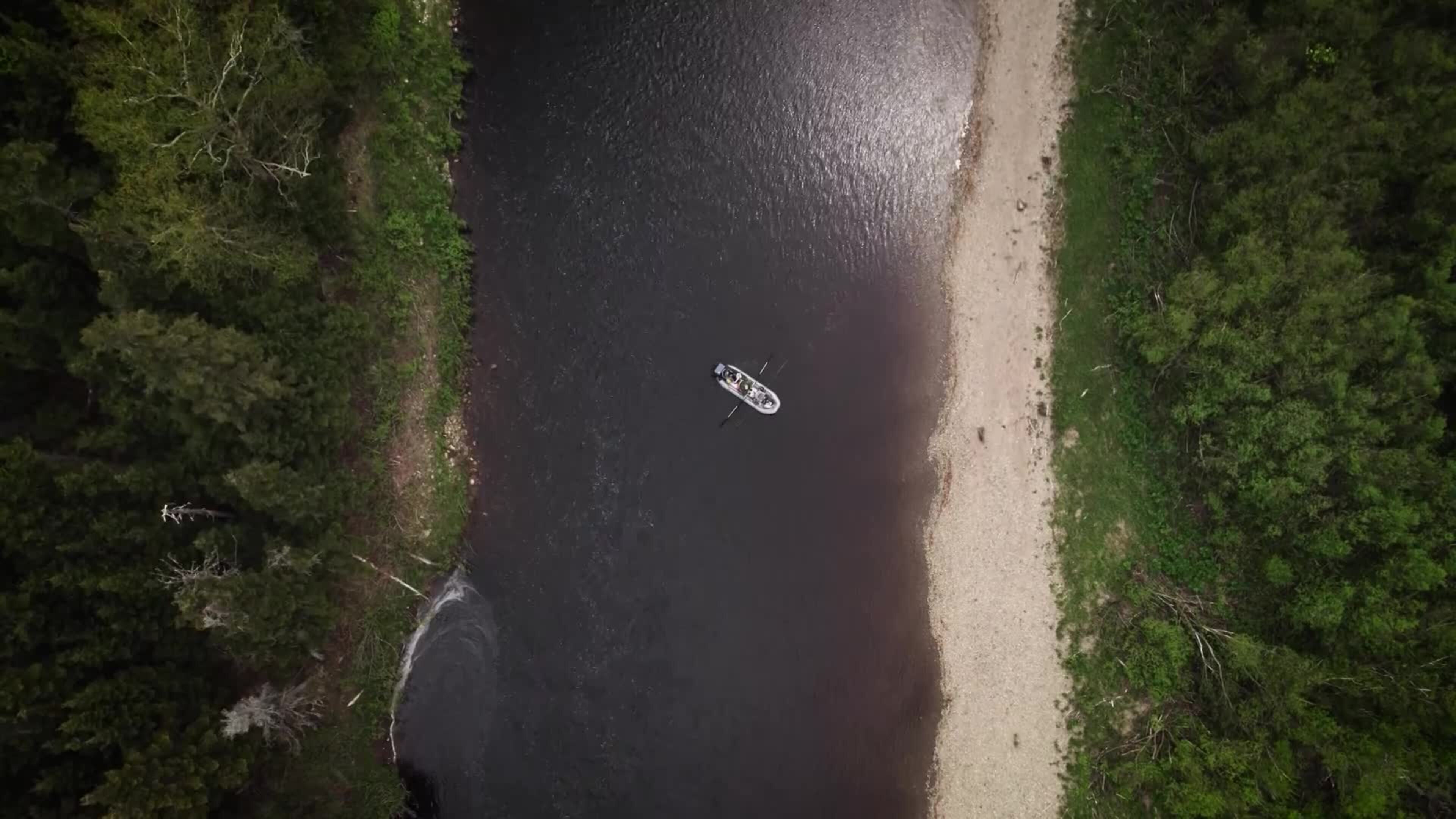 302 Searching for Salmon