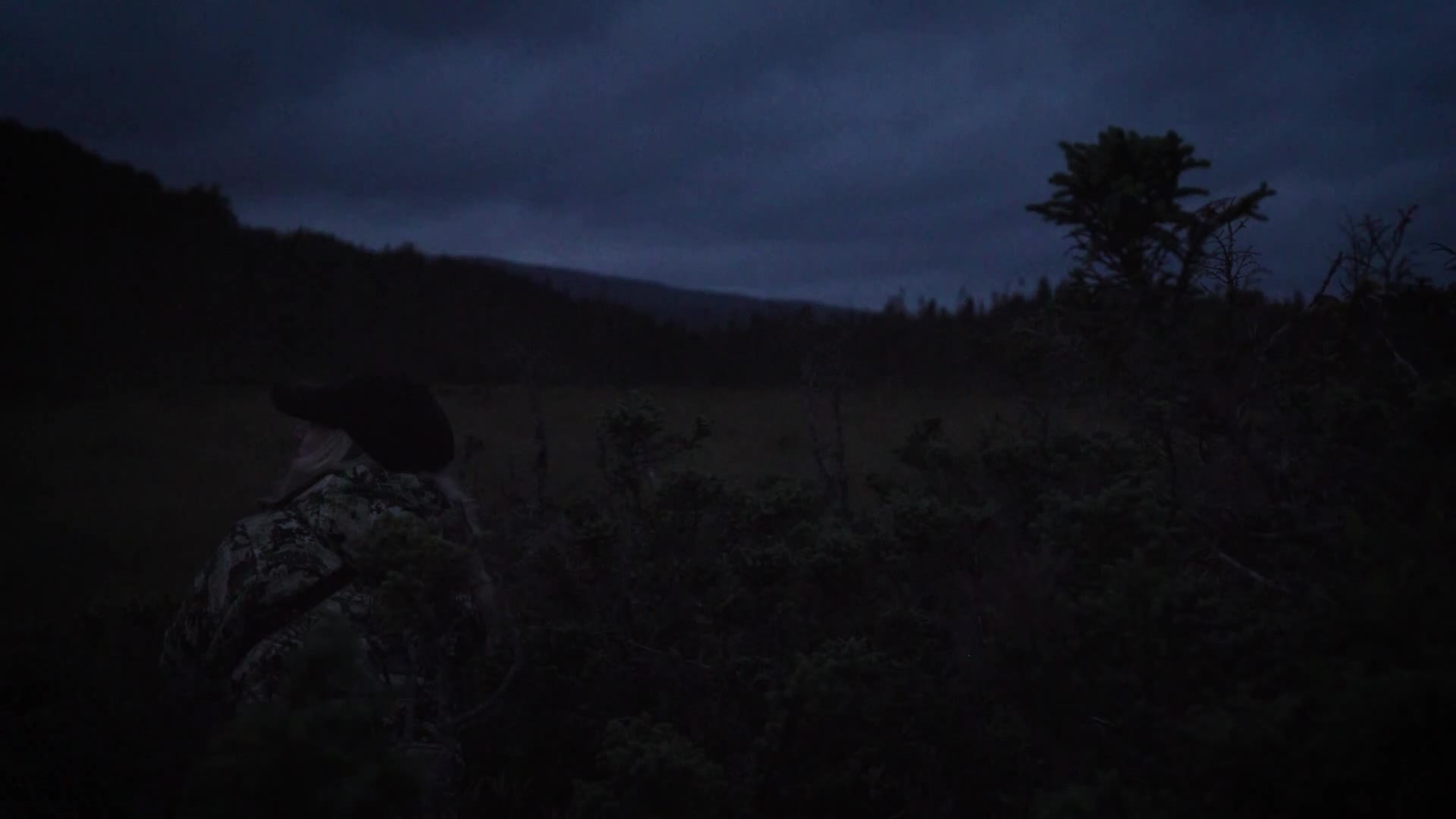 310 The Long Hunt