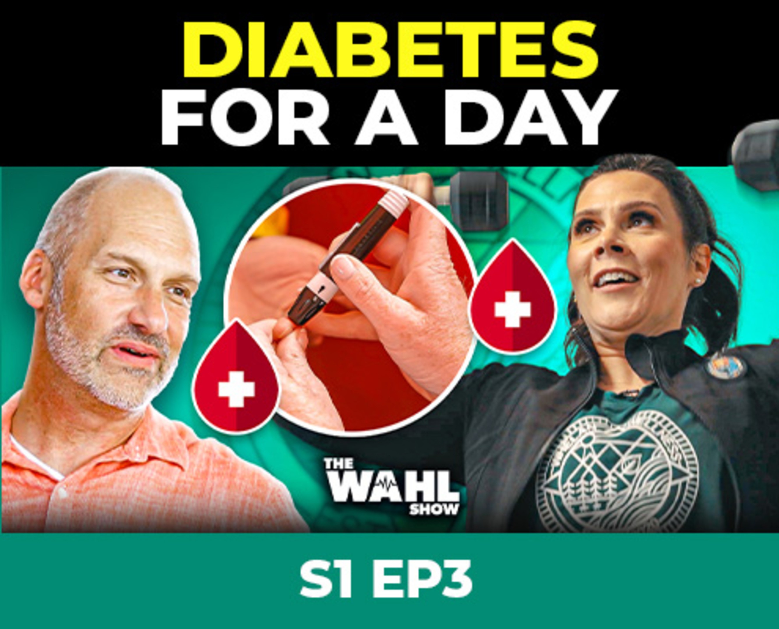 103 Diabetes for a Day