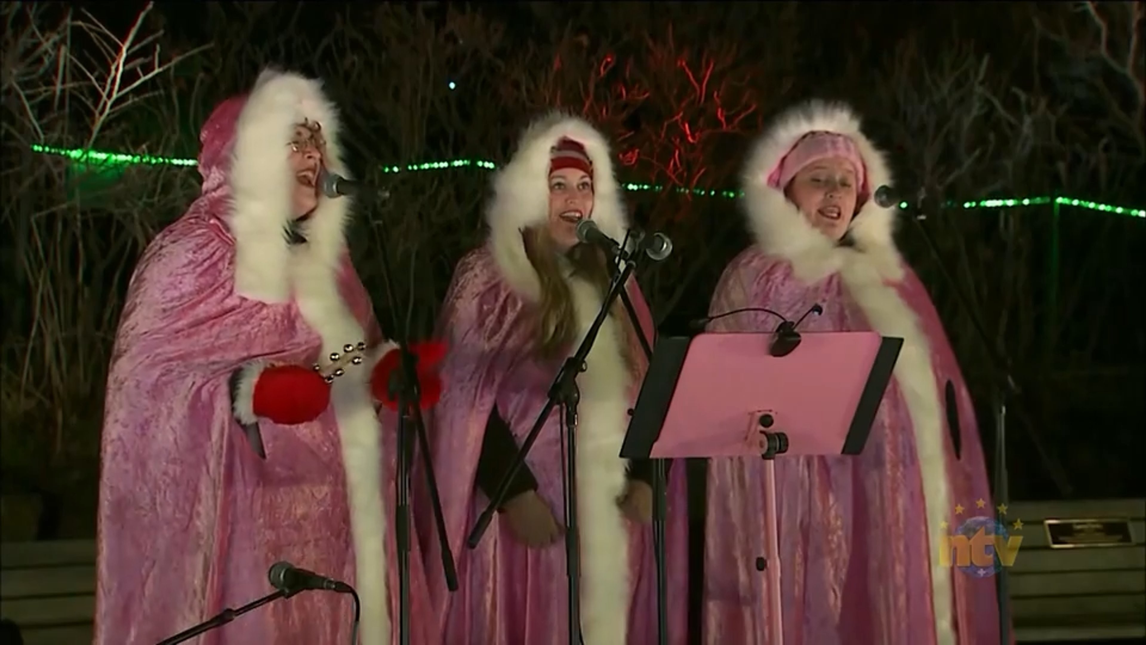 Holiday Lights at Bowring Park 2023