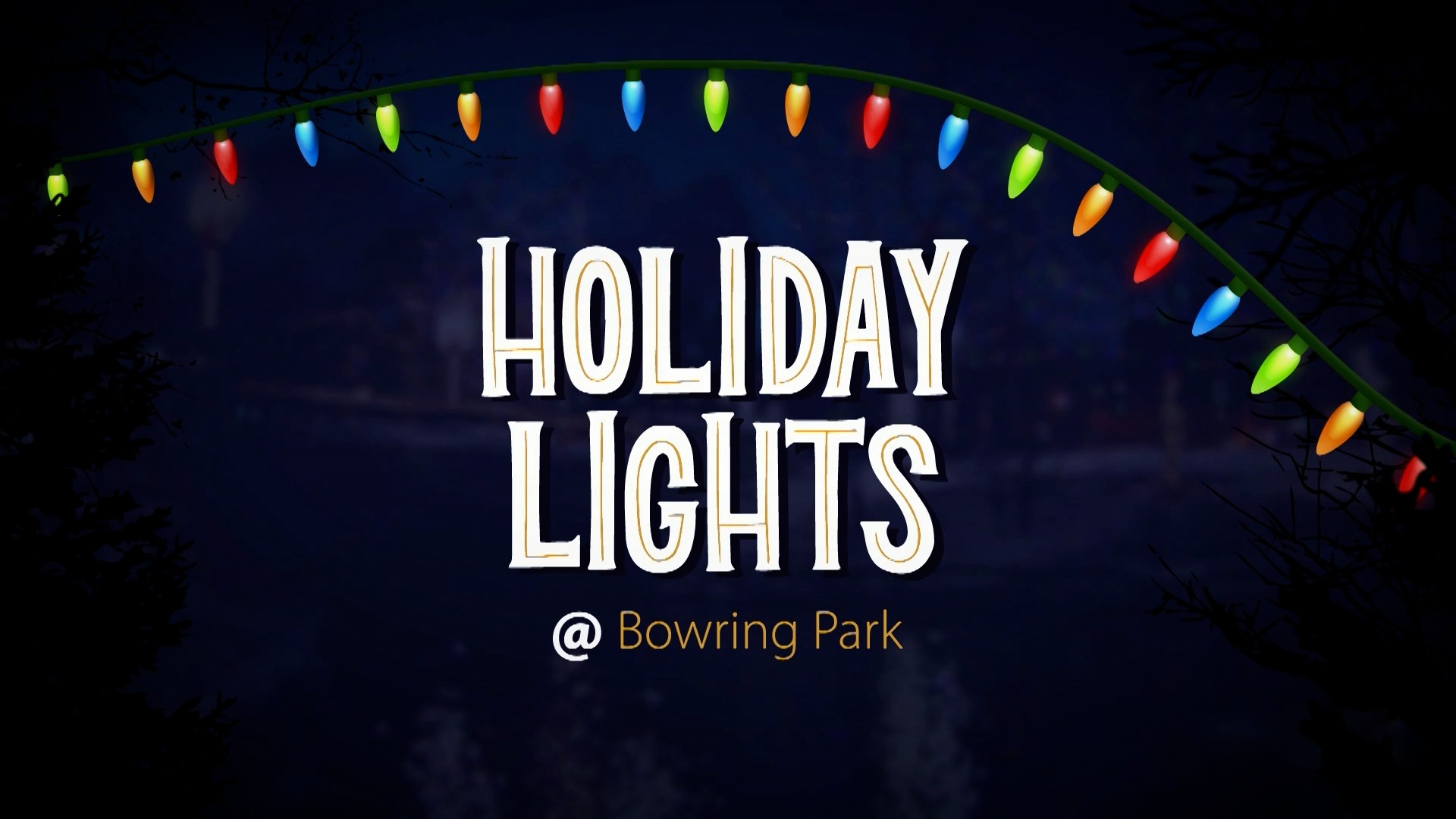 Holiday Lights at Bowring Park