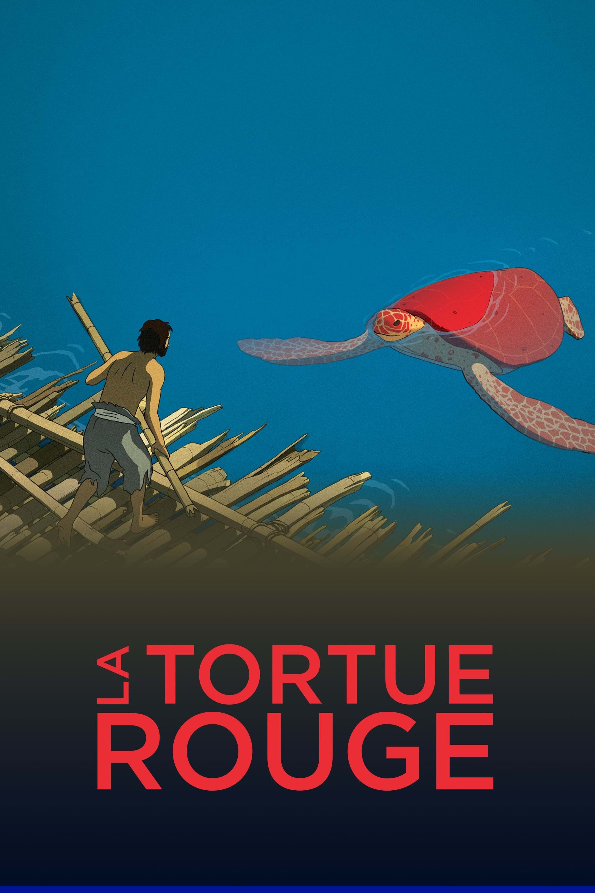 La tortue rouge TéléQuébec